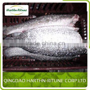 Frozen Tilapia Fillet Fish Price For Sale photo-2