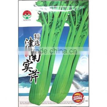 High Quality Celery Seeds For Growing-Jin Nan Solid Celery