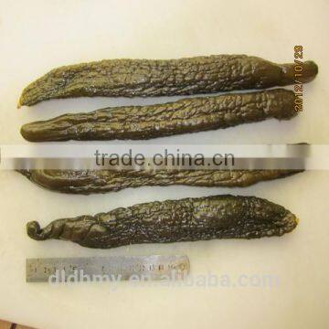 price of fresh cucumber 2014 new fresh raw material cuke Pickled Cucumber in brine salty in drum