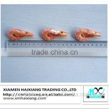 Freeze dried red shrimp