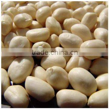 new crop chinese long blanched peanut kernel