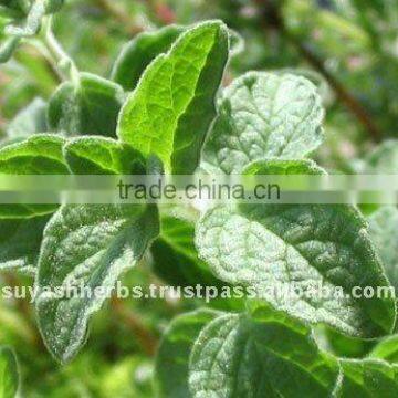 100%Pure Natural Marjoram Essential Oil(Origanum hortensis)