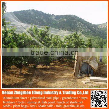 Plastic PE Bird Netting , Hail Protection And Anti Bird Net