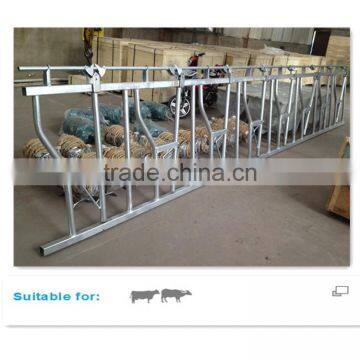 Galvanized Steel Pipe Cow Healock for 8 Cows Locking
