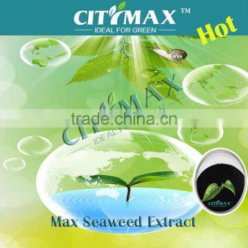 Strong water soluble seaweed bio fertilizer