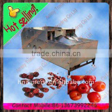 full stainless steel electric cherry pitter