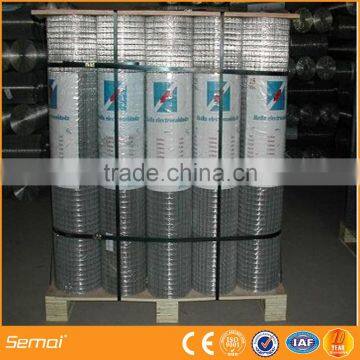 Galvanized welded wire mesh cheap with ISO 9001