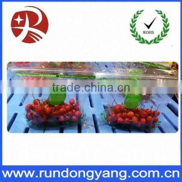 Transparent Plastic Slider Zip Lock Packaging Fruit Bag for Cheery and Grape photo-4