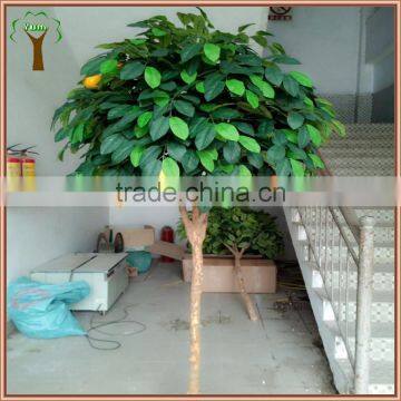 Artificial orange tree for weddings