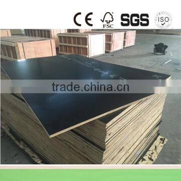 F17 Formwork Plywood for Australia Market photo-4