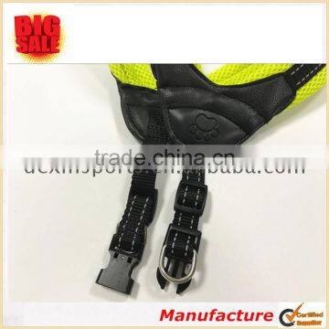 Factory Directly Sell Neoprene Dog Harness of CE Standard photo-4