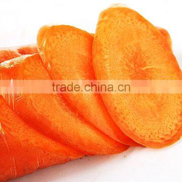 Harvest Chinese Fresh Carrot on Wholesale photo-2