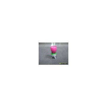 music flower candle