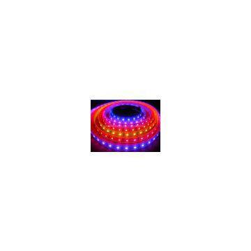 Addressable Lpd8806 Neopixel Led Strip photo-2