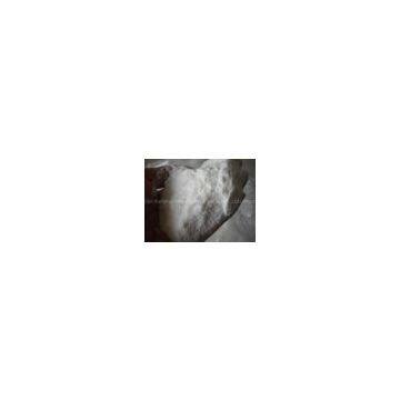 Polyscrylamide (PAM),Polyscrylamide