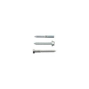 Self Tapping Screws, Self Drilling Screws, Machine Screws, Chipboard Screws, Drywall Screws, Assembled Screws, Hanger Screws, Dowel Screw