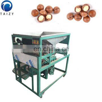 Macadamia Nuts Processing Machine Price Macadamia Macadamia Nuts for Sale photo-3