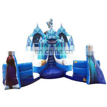 Large 2 Lanes Waterslide Inflatable Water Slide With Pool