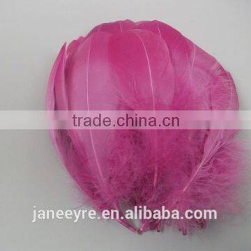 Hot Design!!! Factory Suppler Colorful Feather Accessory photo-5