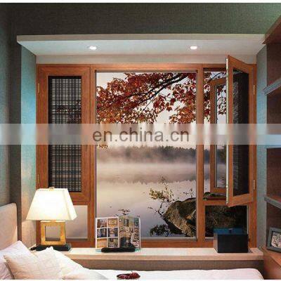 Simple Design Aluminum Arch Graphic Design Modern Aluminum Alloy Simple Design Aluminum Casement Window Door Chinese Top Brand