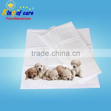 Hot selling pet pee sheet recycled pet sheet pet plastic sheet pet sheet