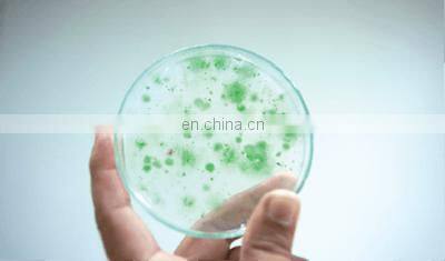 Laboratory High Pressure Homogenizer photo-4