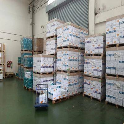 China 3 Days Delivery 100% Pulp Print Paper A4 Size Copypaper 80 GSM 70GSM Reams A4 Copier Paper