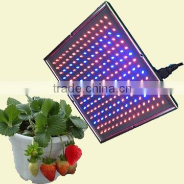 Energy saving Small portable 15w 20w Led panel grow light plant lamp