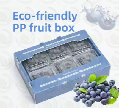 Wholesale Corrugated PP Plastic Fruit & Vegetable Crates – Custom Packaging Box Factory photo-3