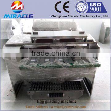 Top Sale Egg grader machine, automatic contrller system chicken eggs grading machines