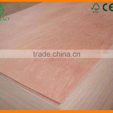 Shiny Bintangor Veneer for Interior Decoration form China Wood Factory