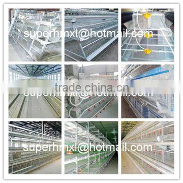 Automatic Poultry Feeding and Drinking System for Broiler photo-5