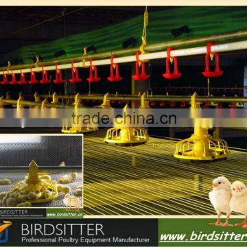 chicken feeding device