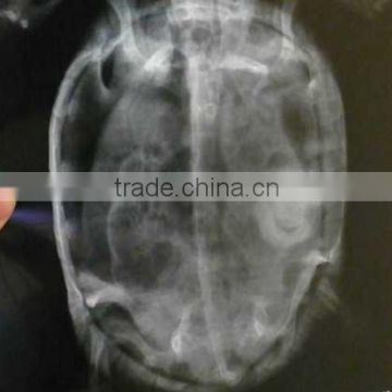 medical ct film of alibaba supplier, ct scan film of alibaba supplier