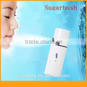 Personal Galvanic lon High Quality Portable device facial steamer in dubai for girls