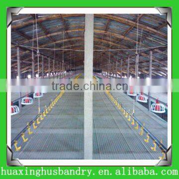 Automatic Feeding & Drinking System for Poultry/chicken/broiler/breeder