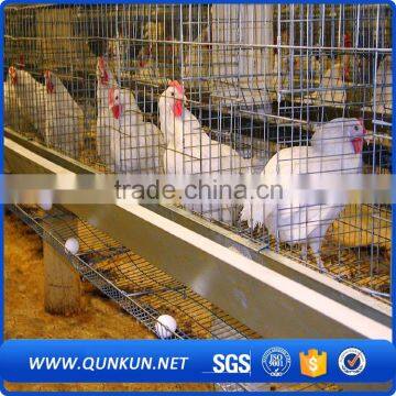 Commercial Chicken House Sale for Layers photo-6