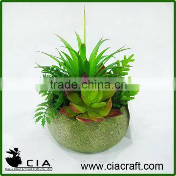 Small green potted succulents bonsai scculents artificial succulent plants