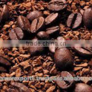 Best Price Roasted Coffee bean