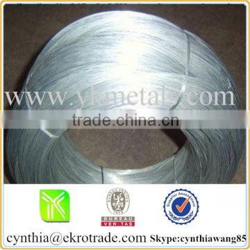 BWG20 electro galvanized iron wire on sale