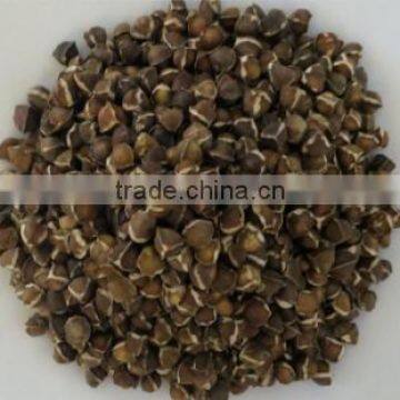 Bulk Moringa Seeds