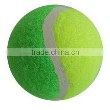 customized promotional pet tennis ball