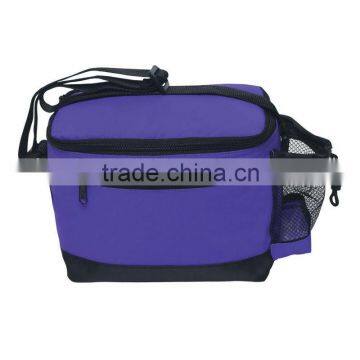 Six Pack Kooler Bag-Purple