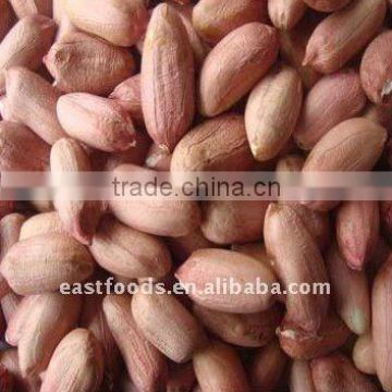 suppling shandong groundnut kernels