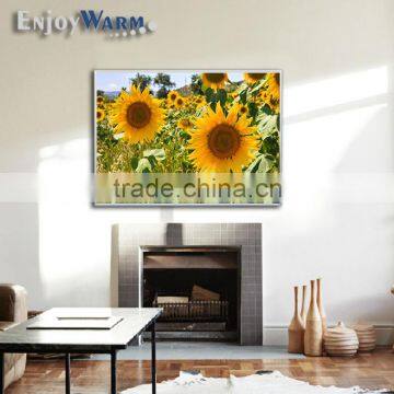 TUV GS SAA Rohs CE ISO9001 Manufacturer 2016 New White Surface Energy Saving360w 600w 720w 960w 1200w Heater Element