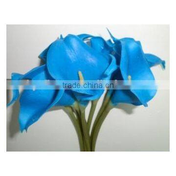 Royal blue calla lily bouquet decorative flowers for wedding