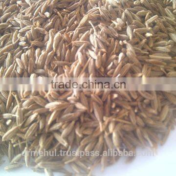 Cumin Seed Gujarat photo-6