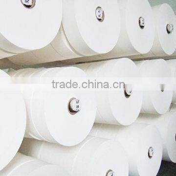 Best Manufacturer of Tea Bag Filter Paper in Roll Supplying for Chamber Tea Bag Aplication photo-4