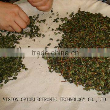 5000+pixel Machines for Sale!fermented Tea Procesing Machines Made in China photo-3