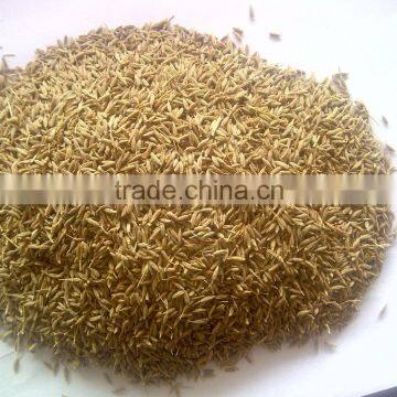 cumin seeds and fennel seeds in tamil